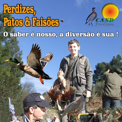 Perdizes, Patos e Faisões 